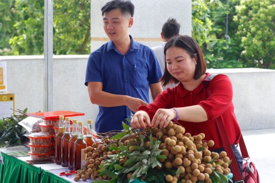 Ảnh của Chương trình OCOP là đòn bẩy phát triển kinh tế nông thôn ở Hưng Yên